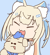 14446