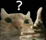 1732896792862
