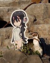 Man reaches his waifu