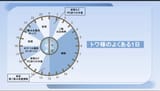1747929298009769