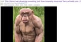 1730535856425315