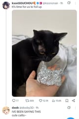 Thread 102537909 OP Image