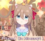 in minecraft