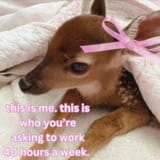 Thread 102540767 OP Image