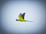 photo-1618158282082-4ae0cb611d00