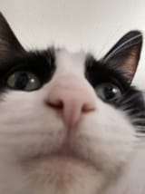 1743804970292917