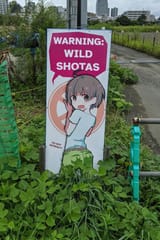ShotaWild