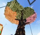 Thread 102548952 OP Image