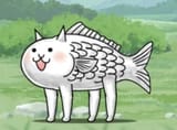 fish cat