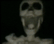 1689410272979955
