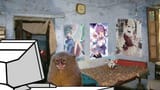Thread 102554649 OP Image