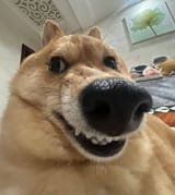 511192708_1044423487876859_2922609130004266228_n