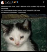 oh no