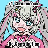 +1 chromozone