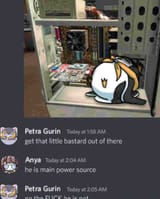 anya-petra global 334