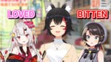 Mio Cats