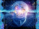 245317_brain_a5deade6-8807-4ea9-8c95-5f123d3a4662-prv