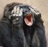 Mad Gorilla