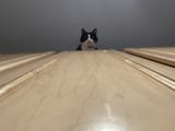 1734007148979463