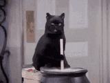 haha-stir-the-pot