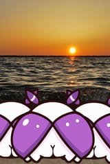 MomoBeach1