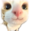 1751106410165885