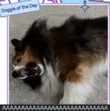 1706546002167809