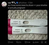 Sharkie