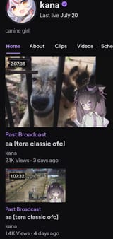 Screenshot_20250723-221915_Twitch