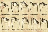 feet