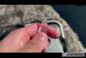 m2-res_720p-1_thumb.jpg