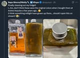 mold