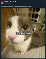 Thread 102661197 OP Image