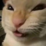 nyehehehehe
