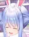 faqingmonkey [sound=files.catbox.moe%2Fx1ohmt.mp4]_thumb.jpg