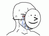 npc