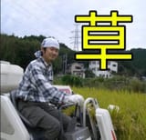 1740676353436