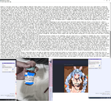 1743382906103372