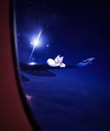 Sleep on plane
