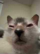 1737327714052265