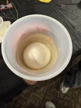 egg