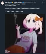 lilgayboy45