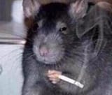 smoking kills