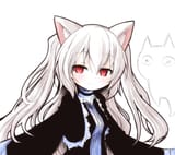 NoraCat