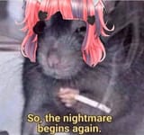 1740149555822513