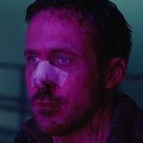 gosling