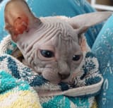 This baby is a whole 7 mins old &amp; already fed up with life