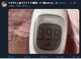 Roboco fever