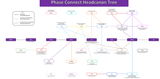 Nepo Phase