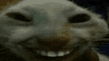 xdx